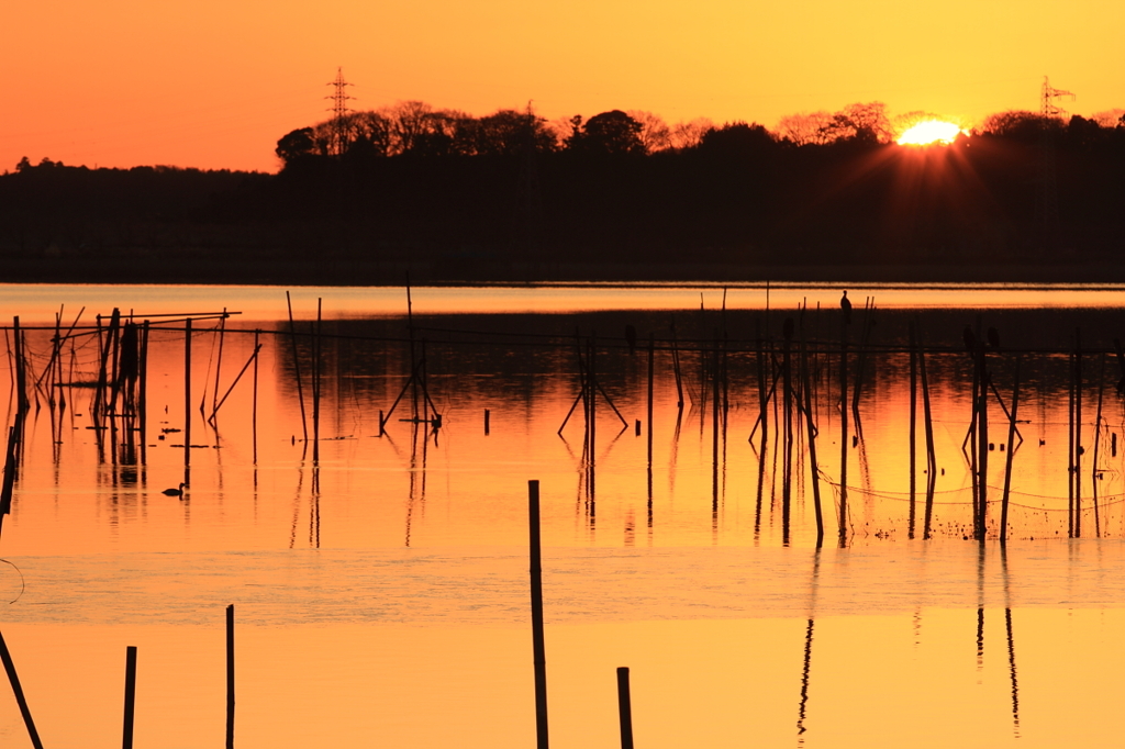 印旛沼　- そして朝陽が -
