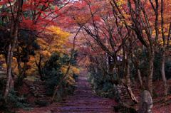 Autumn Entrance