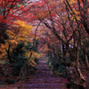 Autumn Entrance