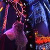 Xmasイルミネーション
