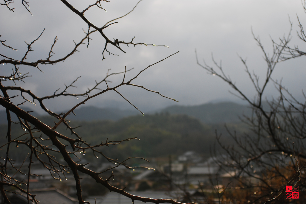 山里の春はまだ遠く