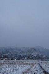 雪化粧