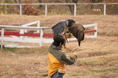 那須どうぶつ王国 319