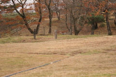 那須どうぶつ王国 304