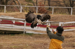 那須どうぶつ王国 316