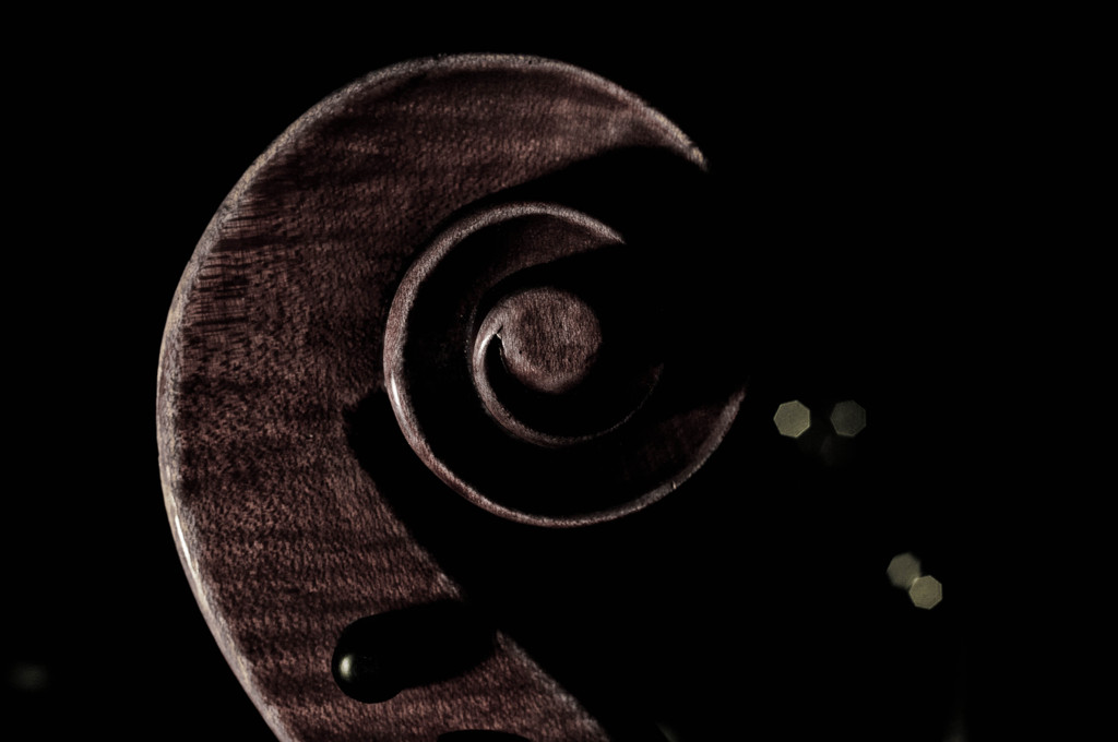 craftman's spiral