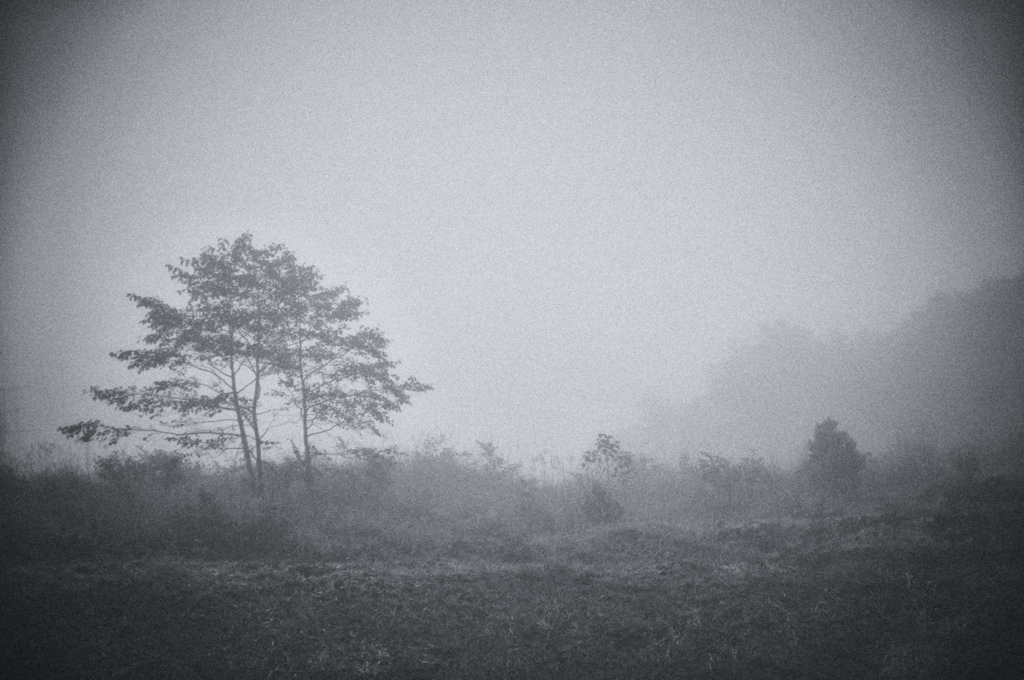mist