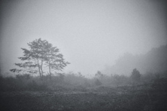 mist