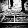 Memories of the road