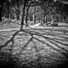 【NYC】Central Park02
