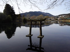 水面に浮かぶ鳥居