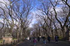 Central Park