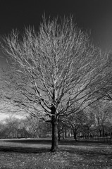 R0015588