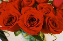 Valentine's