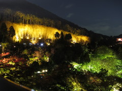 清水寺の夜