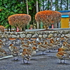 HDR1