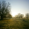 Morning Light