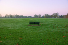 Bench on the grass