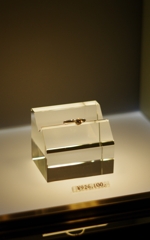 せめて写真だけでも