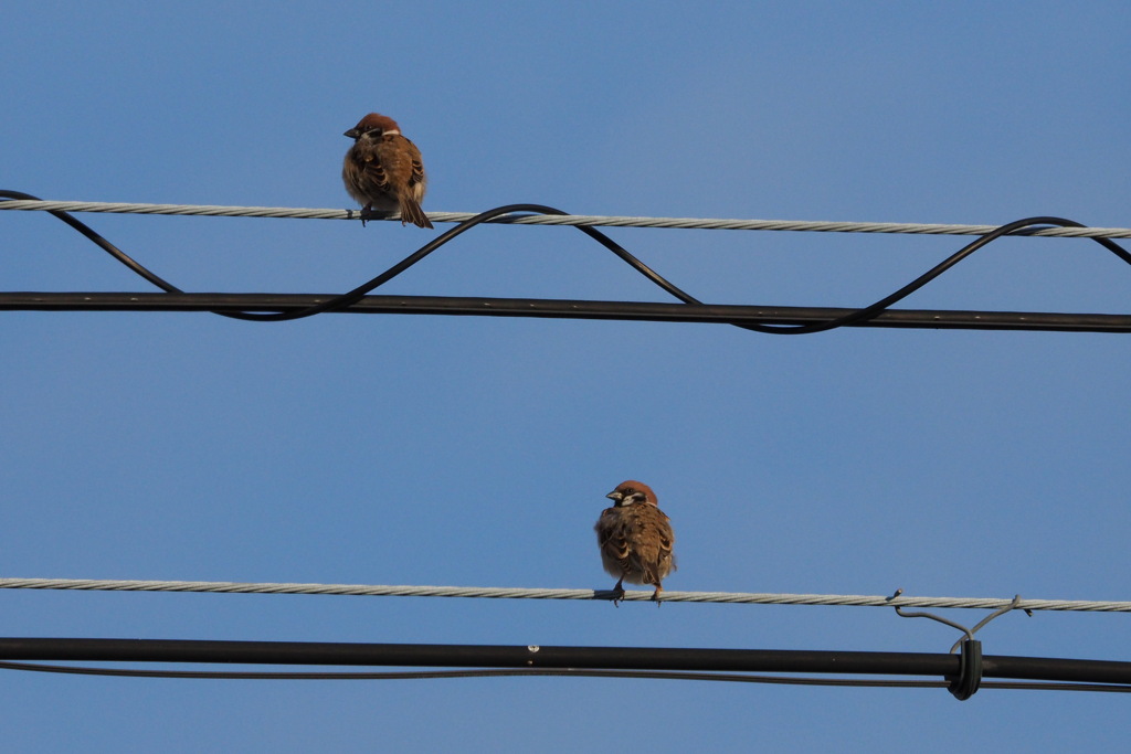 次はあっちへ行こうか！