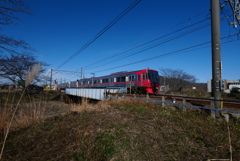 今日の気分はパナライカ