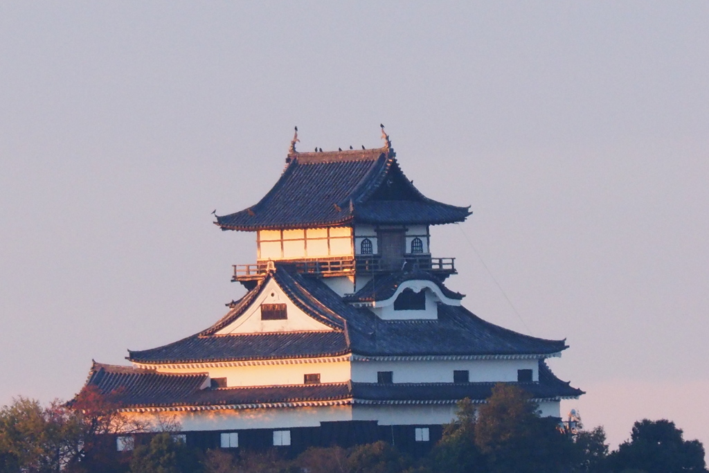 朝の犬山城「鯱鉾に鳥」
