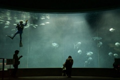 葛西臨海水族館にて