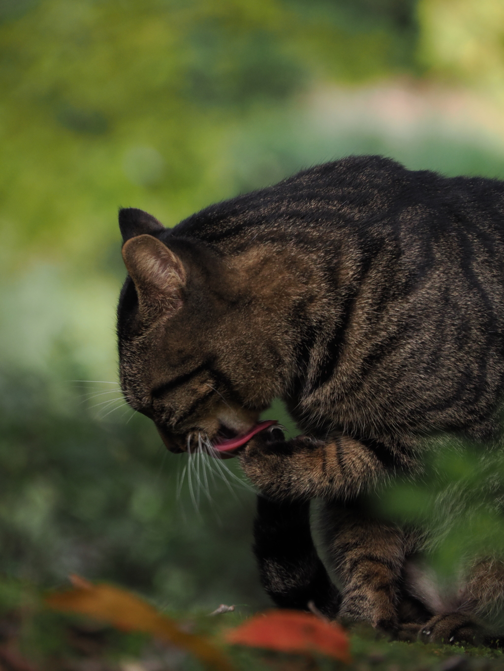 拳磨き〜鍛錬〜