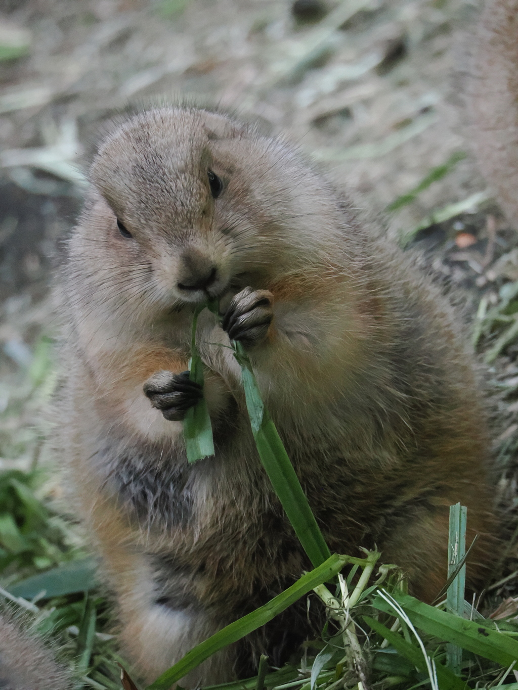 両手でしっかり