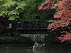 外気と水中、どっちが適温？