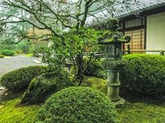 実はアメリカです