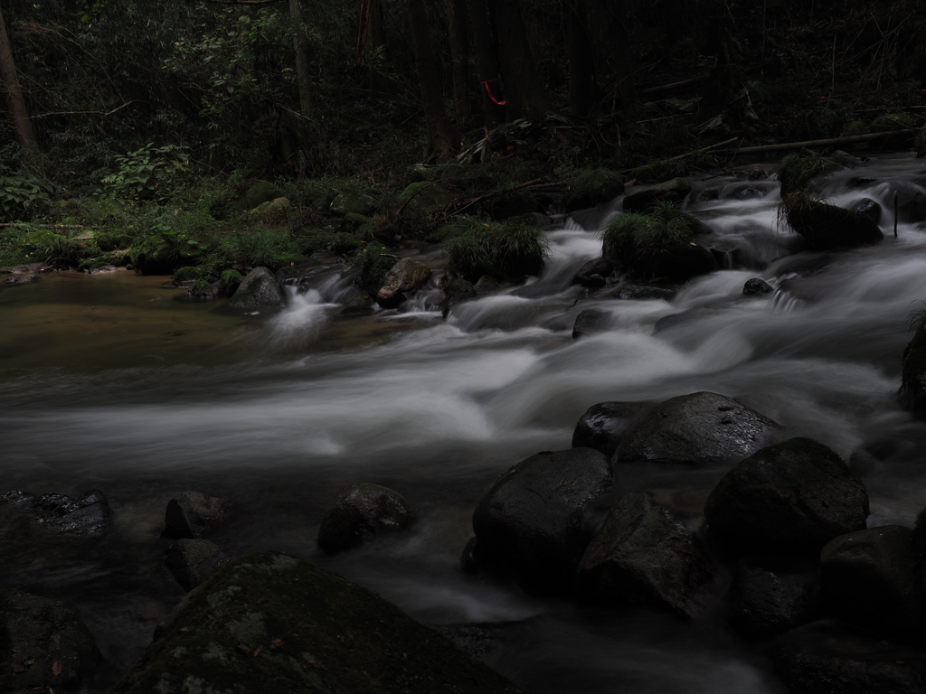 花貫渓谷にて〜ふわふわ〜