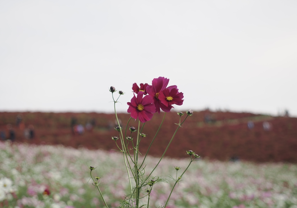 ぐんぐん栄養いっぱい