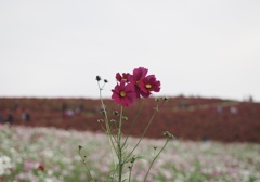 ぐんぐん栄養いっぱい