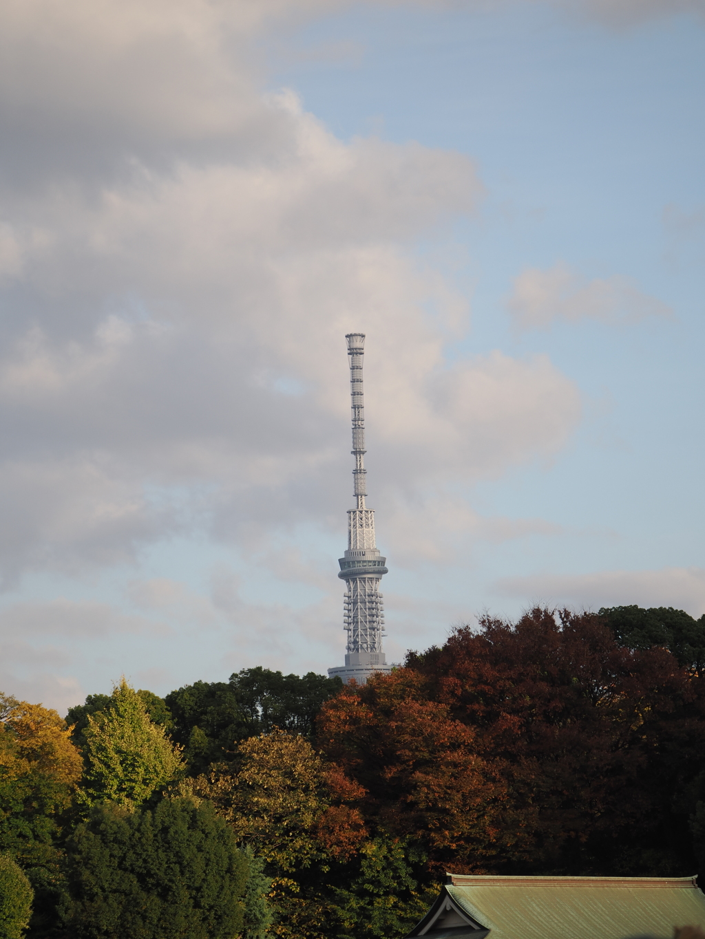 紅葉からニョキっと