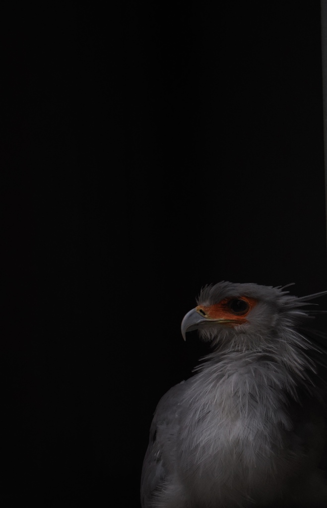 なにか見てるね