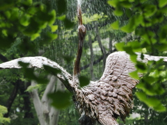 SPLASH!!〜日比谷公園〜