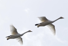 ようこそ日本へ