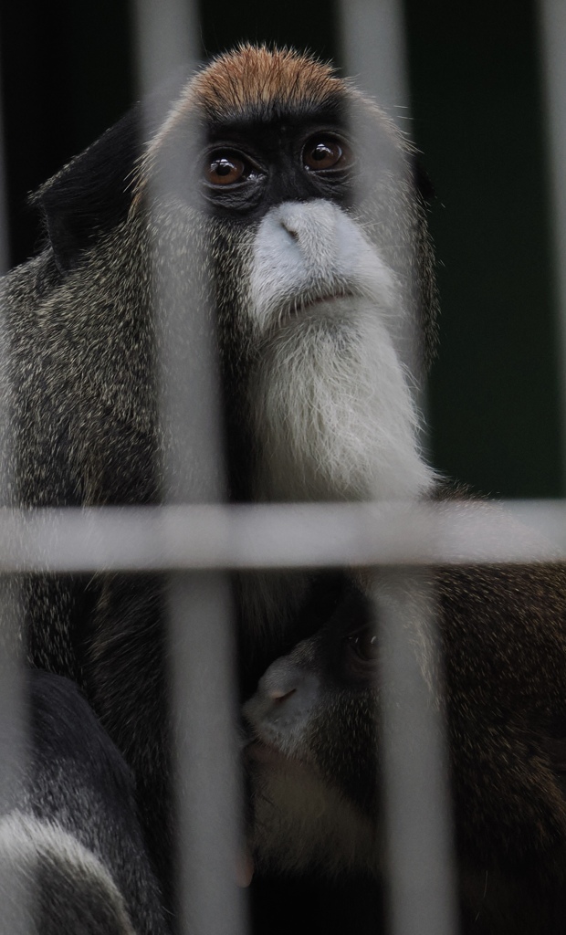 この子には相談に乗ってほしい