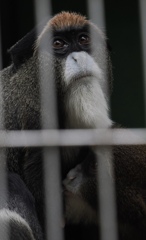 この子には相談に乗ってほしい