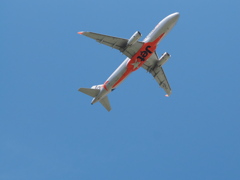 オレンジのおなか