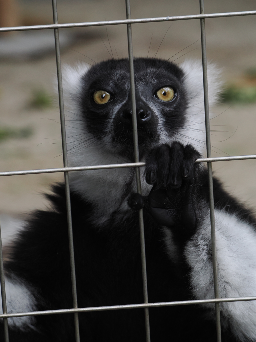 会計通してない商品ありますよね？