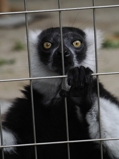 会計通してない商品ありますよね？