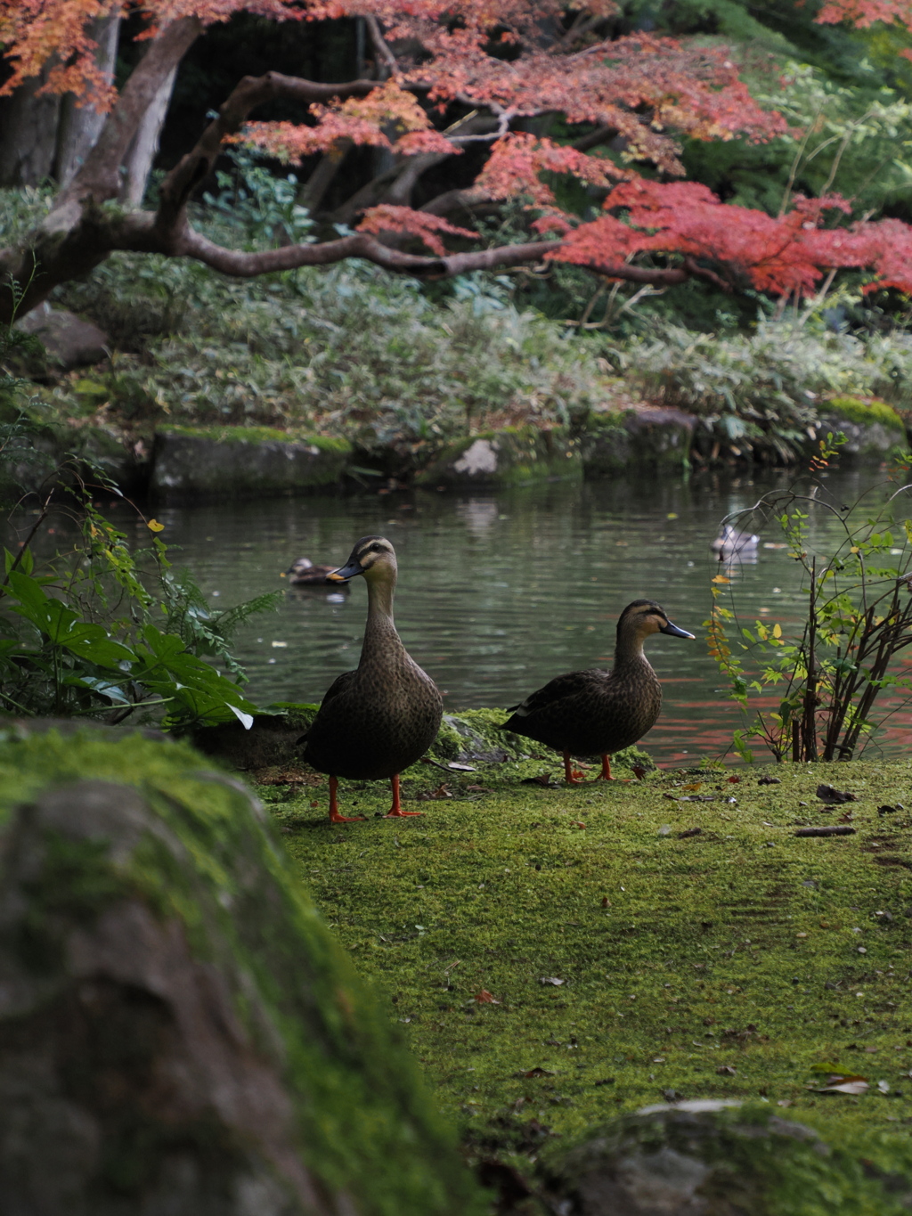 さがしものはなんですか？