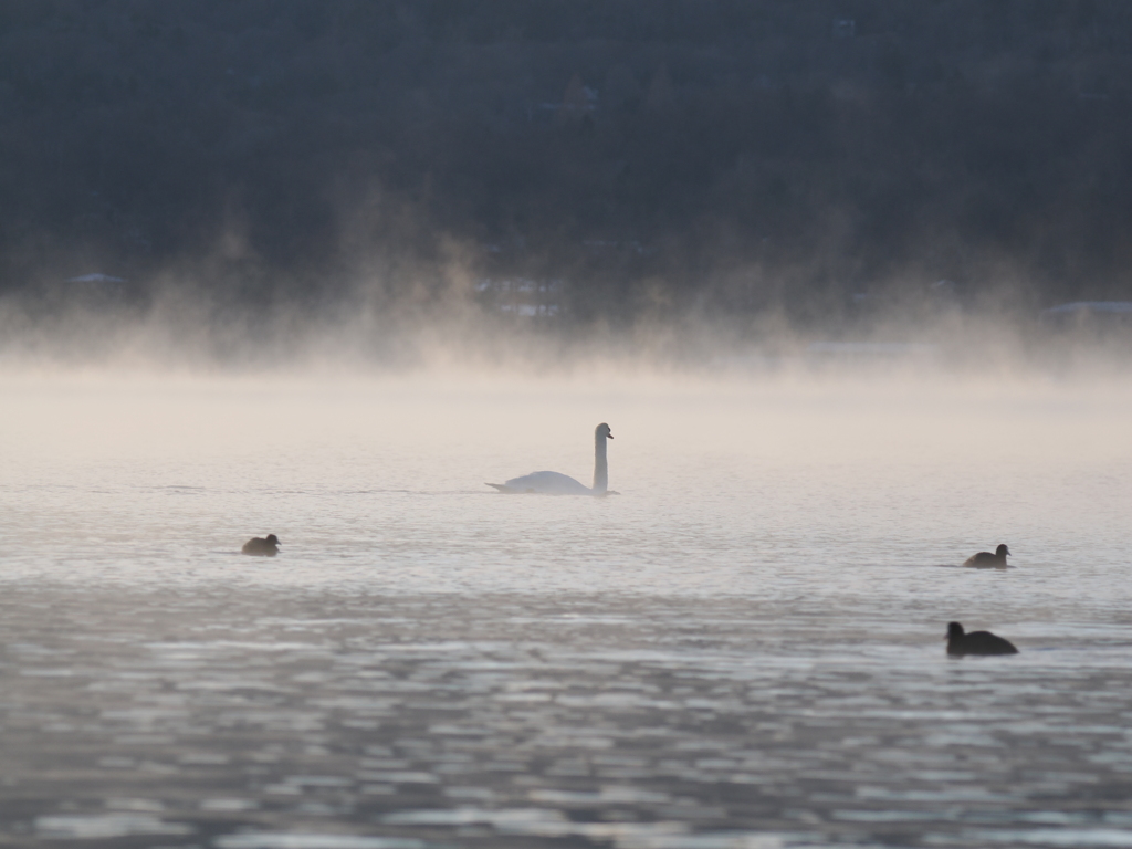 山中湖の朝