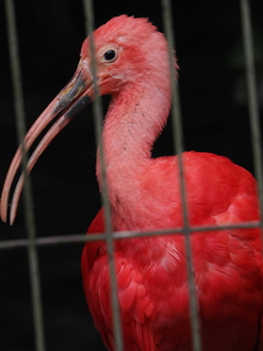 目が合いましたね！