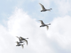 誰も置いてかない！