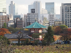紅葉シーズンはもう1週間くらい長くしてほしい