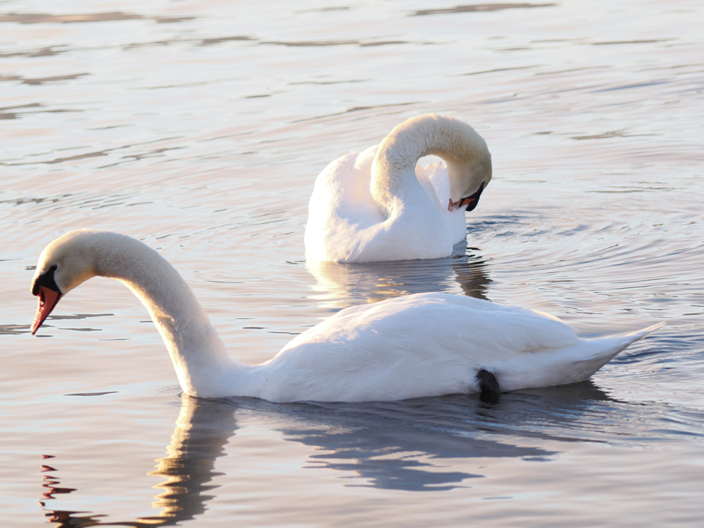 熟年夫婦のよう〜わたしはわたし、あなたはあなた〜
