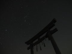 そこに鳥居があるだけで映え